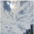 과천써밋  공인중개사사무소 | 과천청약 과천 부동산의 든든한 파트너, 금터공인중개사사무소