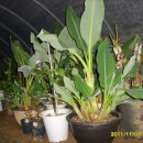 가온하우스 이미지