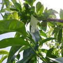 선아농장 이미지