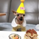 코코까까 이미지