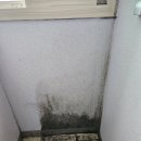 청라반도유보라1차아파트경로당 | 인천 탄성코트 청라 반도유보라 발코니 곰팡이 제거 페인트 코팅