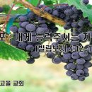 내게 능력주시는 자 안에서(빌립보서 4:12-19) 이미지