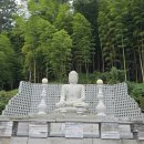 금정-화창한 날의 이미지