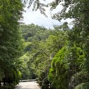 스테이 하냥 이미지