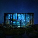 보타니카 170 이미지