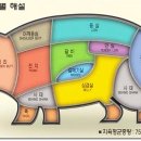 돼지고기 구이/찜 이미지