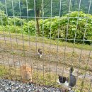 은하수유치원 | ✌️번째 양주 “은하수 캠핑장 ⛺️ ” 2박3일 후기