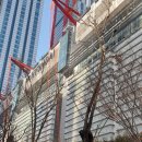 현대보디빌딩 | 2026 더현대 서울 - 박재훈선수의 올라잇 팝업스토어 후기