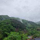 서울가는 버스에서 이미지