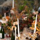 포레스트 컴퍼니 이미지