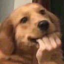 마라상회 이미지