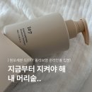 세븐테라피 | 올리브영 탈모샴푸 추천템 원오세븐 정수리 유수분 밸런스 후기