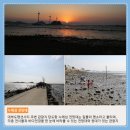 탄도항 누에섬 펜션 이미지