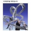 감각의요일
