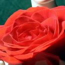 성남아트센터 큐브미술관 이미지