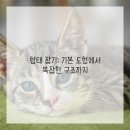 드로잉 기초 이미지