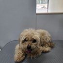 멍빨털빨 이미지