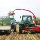 경산한우조사료사업단 이미지