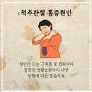 365늘푸른한의원 이미지