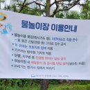 희망대공원 물놀이장-2 이미지