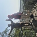 덕신농장 이미지