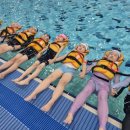 팔탄초대방분교 이미지