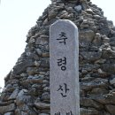 축령산 Daum카페