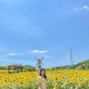 대부도해양본부 이미지