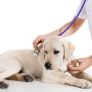 성종섬유 이미지