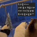 다사태권스쿨 이미지