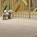 털로덮인친구들(키녹점) 이미지