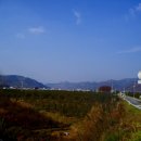 길안초등학교 이미지