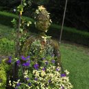 방림원 식물원 이미지