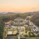 에덴커텐 이미지