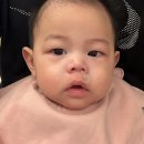 육아일기 210~237일 7개월아기 혼자 앉기 네발기기 첫니 설날