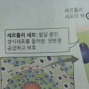 장기기억 및 생식단원 질문입니다. 이미지