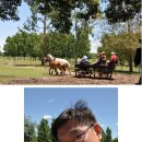 찬형농장 이미지