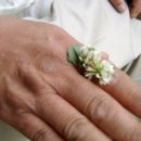 초원의집모텔