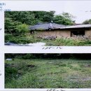 신월동195 이미지