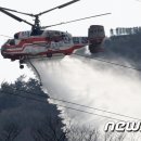 기동반-29 뉴스1