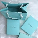 티파니(TIFFANY) | 티파니앤코 Tiffany&amp;Co. 1837 네로우 실버링 후기