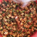 은빛물결캠핑장 이미지