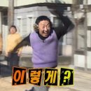꼬마애견 네이버블로그
