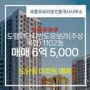 도담동_도램1107동앞 | 도담동 아파트 도램11단지반도유보라(주상복합) 세종유보라공인중개사사무소 매물