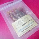 역삼동물약국 이미지