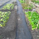 이든농장 이미지