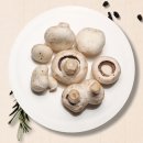 양송이 카카오 검색결과