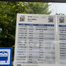 2023.06.28 민둥산역 버스(태백, 정선, 고한, 사북, 상갈래)시간표 이미지