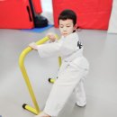 무도태권도 이미지