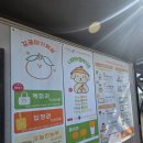 중열농장 | 제주 서귀포 아이랑 귤 농장 체험 나무와 열매 체험농장